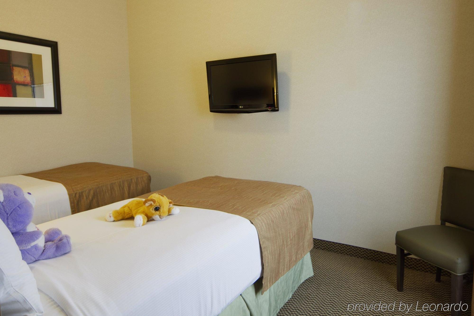 Best Western Wainwright Inn & Suites Rum bild
