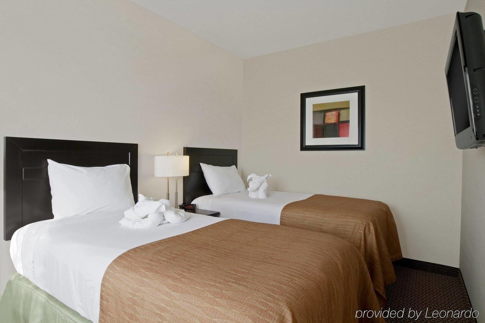 Best Western Wainwright Inn & Suites Rum bild